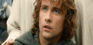lord of the rings googly eyes GIF
