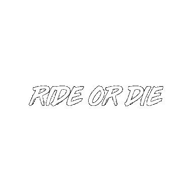 Ride Or Die Sticker by Velocity Switzerland