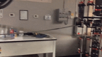Oppenheimer GIF