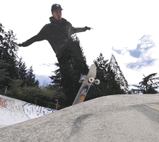 Landyachtz GIF