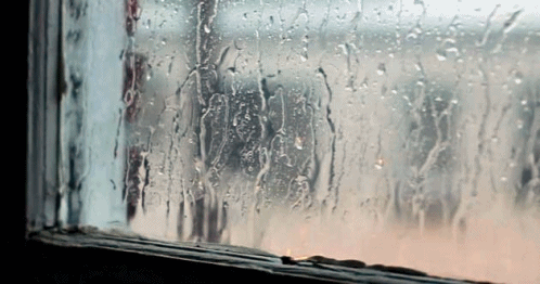 Image result for rainy window gif