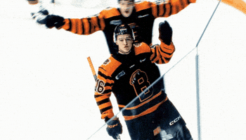 Hockey Nhl GIF by Brantford Bulldogs