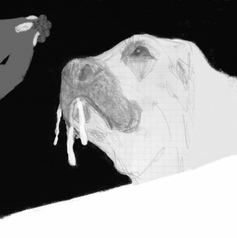 Dog GIF