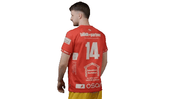 Sport Handball Sticker by HSC Radolfzell