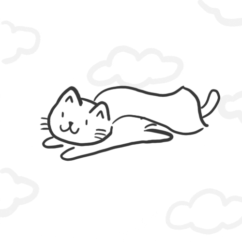 Cat Flying GIF by hoppip
