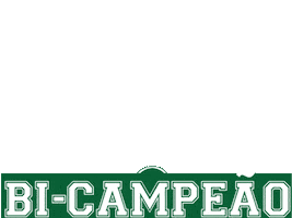 Futebol Libertadores Sticker by Mancha Verde