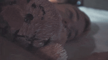 200.gif?cid=fc005b0861b8eb862554180a2d9a2004951e752ec81b45b3&rid=200.gif&ct=g