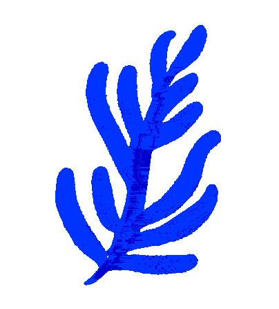 Imperiamagazin Sticker