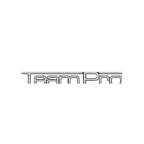 TeamProPersonaldienstleister Sticker