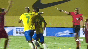 Selecao GIF by Confederação Brasileira de Futebol