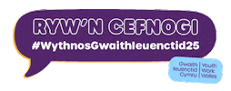 Youthwork Sticker by Council for Wales of Voluntary Youth Services