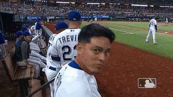 Stop Looking Go Away GIF by MLB