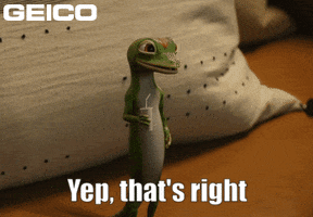 Uh Huh Yes GIF by GEICO