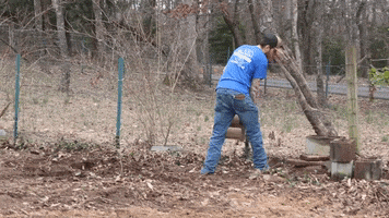 Lifting Dirt Work GIF by JC Property Professionals