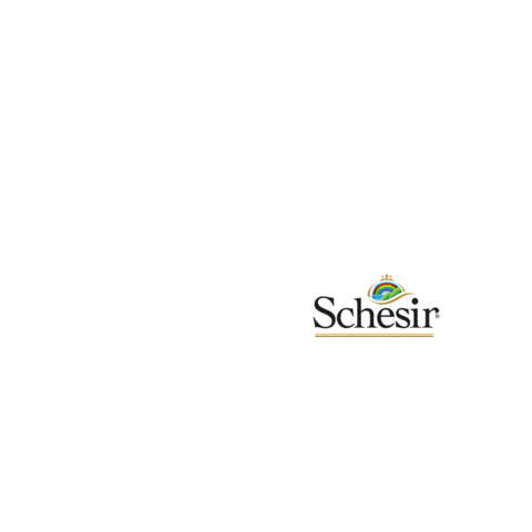 Schesir Sticker