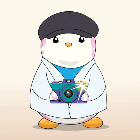 Photography Smile GIF by Pudgy Penguins