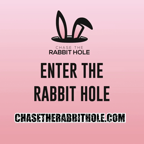 Chase The Rabbit Hole GIF - Find & Share on GIPHY