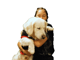 Dog Cuddle Sticker by Eintracht Vinhoven 2019 e.V.