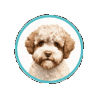 Doodle Lagotto Sticker by Lernfitness