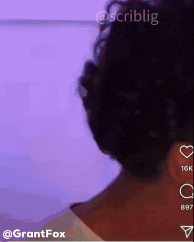 Wtf GIF
