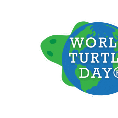 Turtles Tortoise Sticker by World Turtle Day