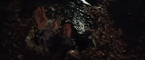 Dave Grohl Water GIF by Foo Fighters