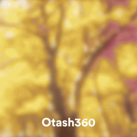 Jujutsu Kaisen Jjk GIF