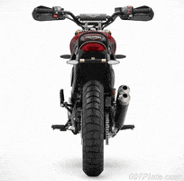 Triumph Scrambler GIF by 007Plate.com