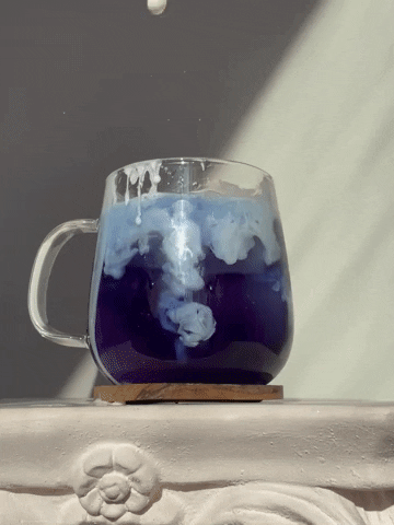 Blueberry GIF