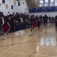 Bucket GIF