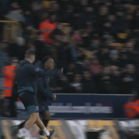 Happy Premier League GIF by AFC Bournemouth