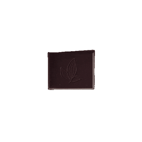 Cacao Sticker by Terra Etica