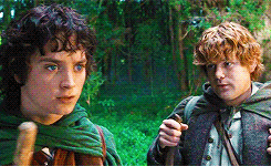 frodo baggins