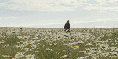 Open Space GIF