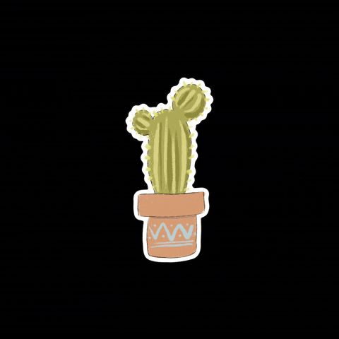 Potted Cactus GIFs - Find & Share on GIPHY