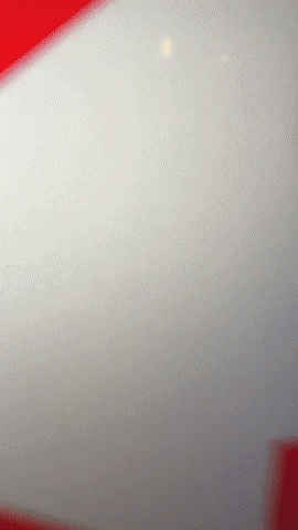 GIF by RE/MAX
