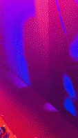 200.gif?cid=fc005b0839d821844292850d5871fc1369613f9c7314c296&ep=v1_gifs_random&rid=200.gif&ct=g