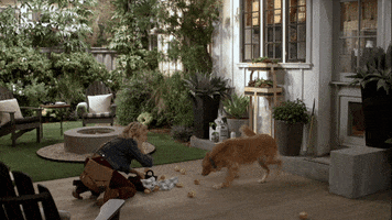 Oh No Eating GIF by ABC Network