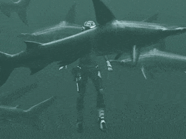 Scary GIF