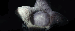 reveals alien covenant GIF