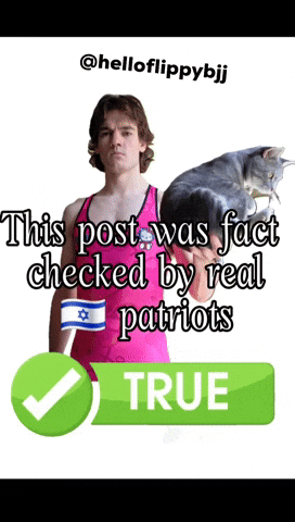 Fact Check Patriots GIF