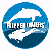 Dive GIF by Flipper
