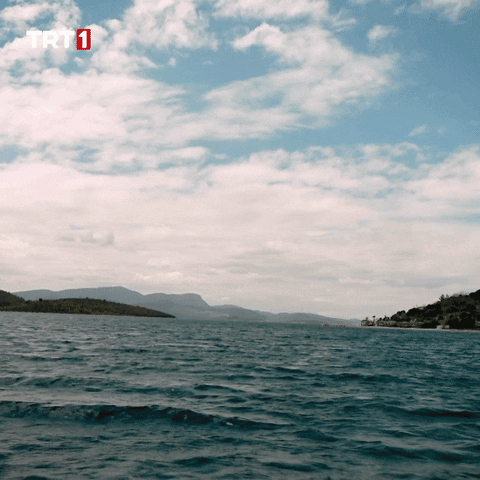 Summer Travel GIF by TRT