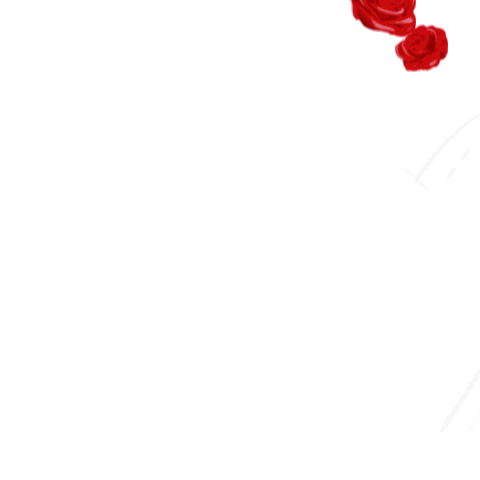 Pfister Latam Sticker