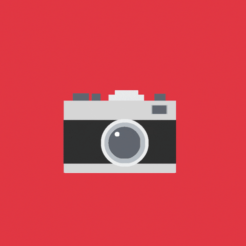 GIF by Zomato Portugal