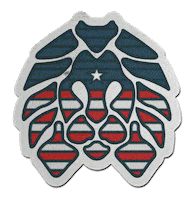 Election Day Go Vote Sticker by Rastaclat Bracelets