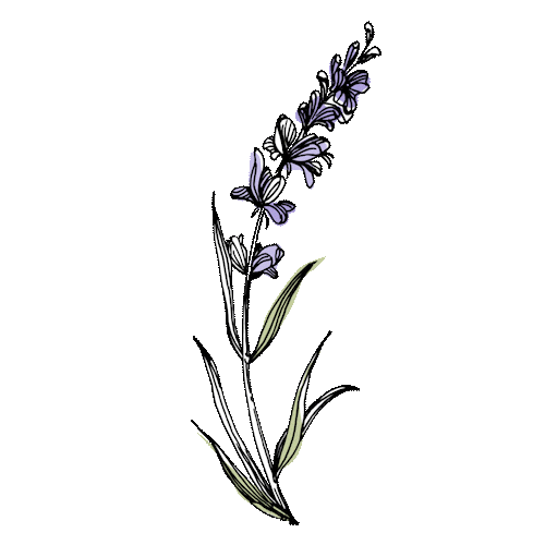 Flower 花 Sticker by WEEED_official