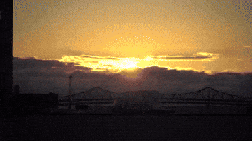 009fly GIF
