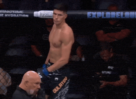 The Ripper Ufc GIF