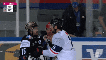 Fight GIF by Iserlohn Roosters